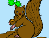 Dibuix Esquirol pintat per kevin