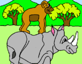 Dibuix Rinoceront i mono pintat per daniela g