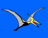 Dibuix Pterodàctil pintat per BERNAT PASCUAL
