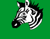Dibuix Zebra II pintat per LAIA8