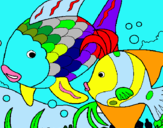 Dibuix Peixos pintat per gustavo1