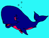 Dibuix Balena tímida pintat per jana