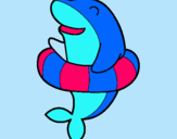 Dibuix Dofí amb flotador pintat per judit artigas