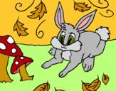 Dibuix Conill pintat per Helena fs