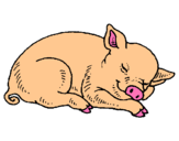 Dibuix Porc dormint pintat per GEMMA M