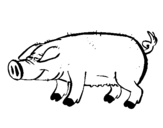 Dibuix Porc amb peülles negres  pintat per porc