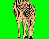 Dibuix Zebra pintat per Maria
