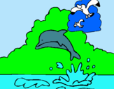 Dibuix Dofí i gavina pintat per juliam.