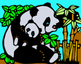 Dibuix Mare Panda pintat per NÚRIA DALMAU