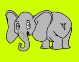 Dibuix Elefant petit pintat per jing