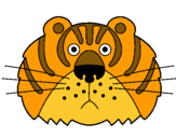 Dibuix Tigre III pintat per carla