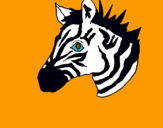 Dibuix Zebra II pintat per MARTI