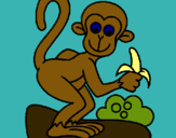 Dibuix Mono pintat per JUDIT