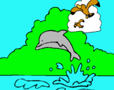 Dibuix Dofí i gavina pintat per JUDIT