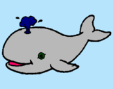 Dibuix Balena expulsant aigua pintat per ASNUPI