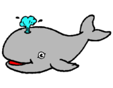 Dibuix Balena expulsant aigua pintat per ALEX