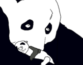 Dibuix Ós panda amb el seu cria pintat per miauuuuuuuuuuuuuuu