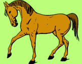 Dibuix Cavall amb la pota aixecada  pintat per noelia