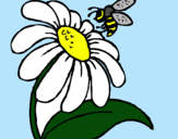 Dibuix Margarida amb abella pintat per anònim