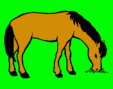 Dibuix Cavall menjant pintat per Berta