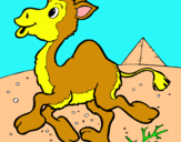 Dibuix Camell pintat per lara20funny