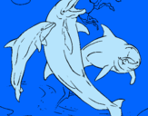 Dibuix Dofins jugant pintat per albertg