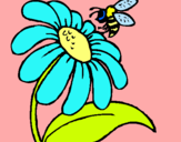 Dibuix Margarida amb abella pintat per Maria Martori