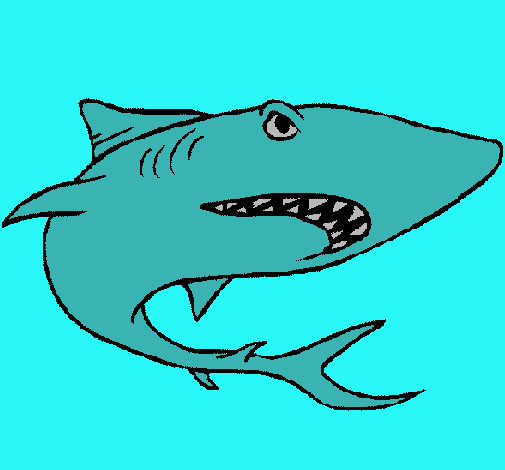 Dibuix Tiburón pintat per jonatan g.b