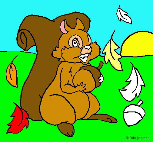Dibuix Esquirol pintat per Wen Li
