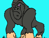 Dibuix Goril·la pintat per Abel Mimoun