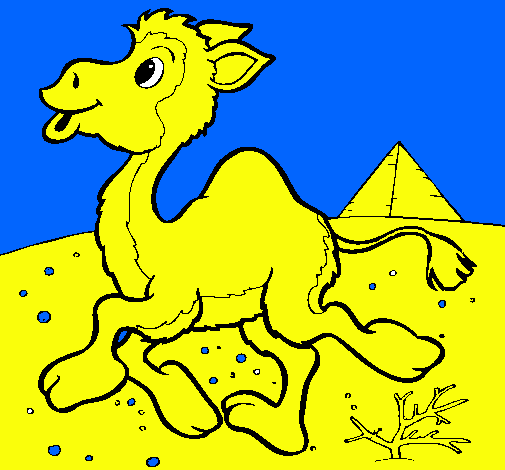 Dibuix Camell pintat per tomeu