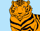 Dibuix Tigre pintat per adria  peradalta