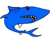 Dibuix Tiburón pintat per josep