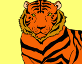 Dibuix Tigre pintat per sandro