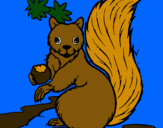 Dibuix Esquirol pintat per marta espina oliver