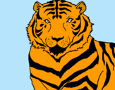 Dibuix Tigre pintat per Joana Milian