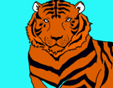 Dibuix Tigre pintat per gila
