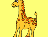 Dibuix Girafa pintat per judit