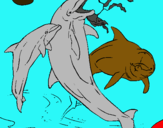 Dibuix Dofins jugant pintat per ratoli