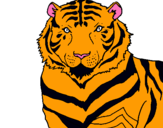 Dibuix Tigre pintat per ticki