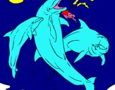 Dibuix Dofins jugant pintat per IU