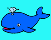 Dibuix Balena expulsant aigua pintat per jonathan .g.b