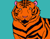 Dibuix Tigre pintat per diana