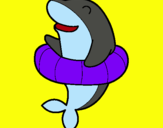 Dibuix Dofí amb flotador pintat per macocu