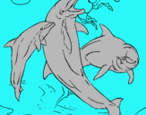 Dibuix Dofins jugant pintat per JANA