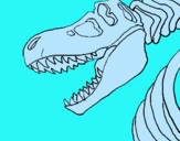 Dibuix Esquelet tiranosauri rex pintat per ENRIC R.M.