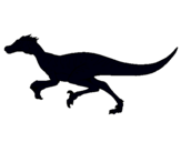 Dibuix Velociraptor  pintat per àdam