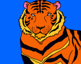 Dibuix Tigre pintat per HAIZEA  SEIJO
