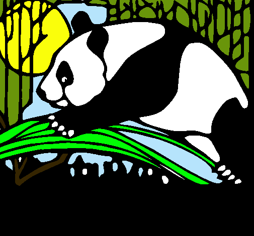 Dibuix Ós panda menjant pintat per FERNANDO