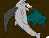 Dibuix Dofins jugant pintat per arnau